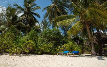 Tropical beach scene