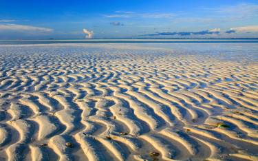 Tidal flats