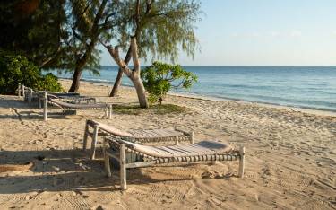 Beach loungers