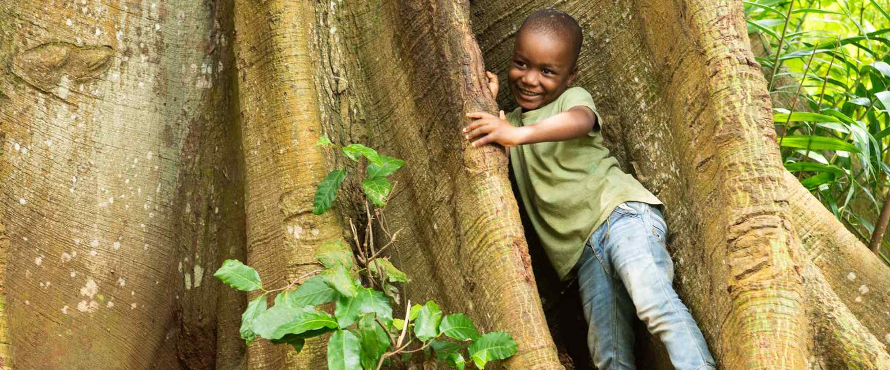 Child at a kapok tree (also known as drum tree)