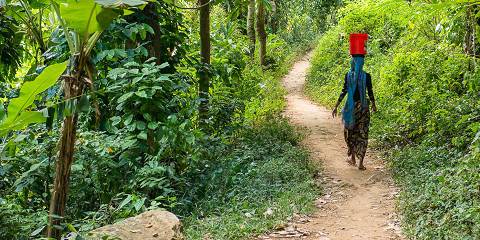 1-Day Kilimanjaro Cycling Tour