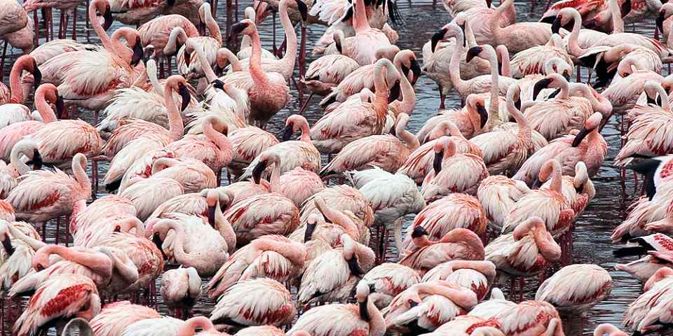 7-Day Best of Northern Parks (Tented) Lodge