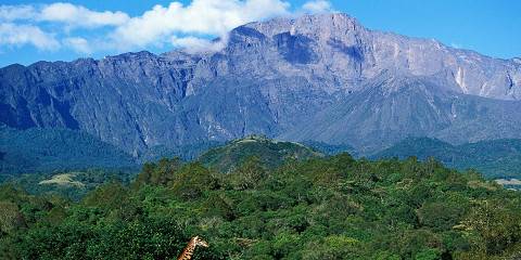 Private Camping Safari to Mount Meru Eco-Camp