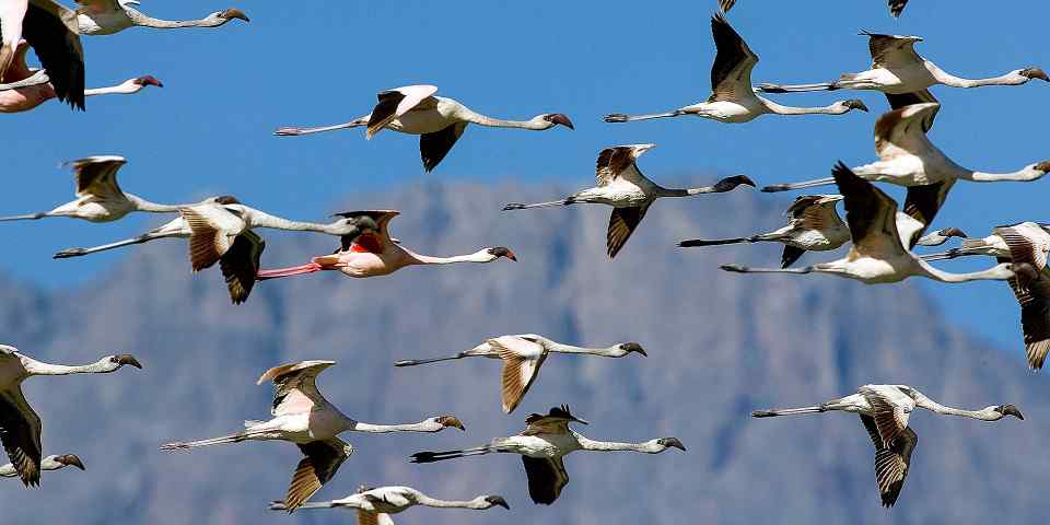 11-Day Safari&Beach Tarangire Manyara Ngorongoro