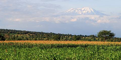 Kilimanjaro Trek - Marangu Route-Without Summing