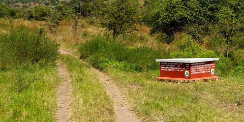 1-Day Explore Wonders of Ngorongoro Crater in Style