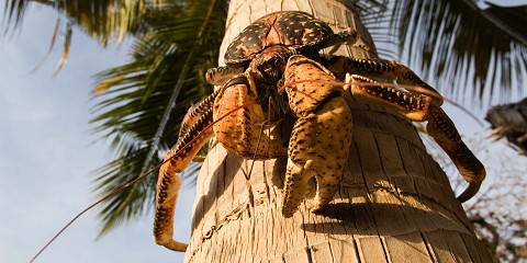3-Day Fly-in Zanzibar Serengeti, Ngorongoro & Tarangire