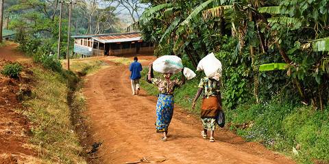 1-Day Arusha to Water Falls and Hot Springs
