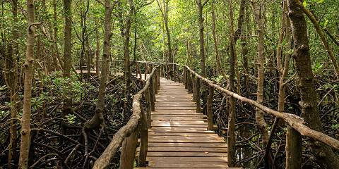 1-Day Hotsprings and Waterfall Tour