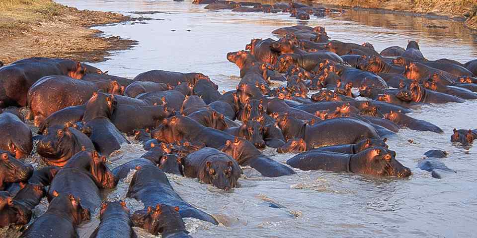 12-Day Magical Tanzania Safari, Wildlife and Culture