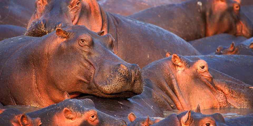 4-Day Group Camping Tarangire, Serengeti & Ngorongoro