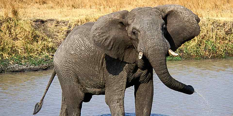 7-Day Northern Tanzania Explorer