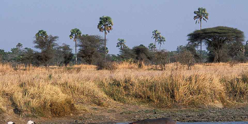 5-Day Selous Reserve - Mikumi National Park Combined