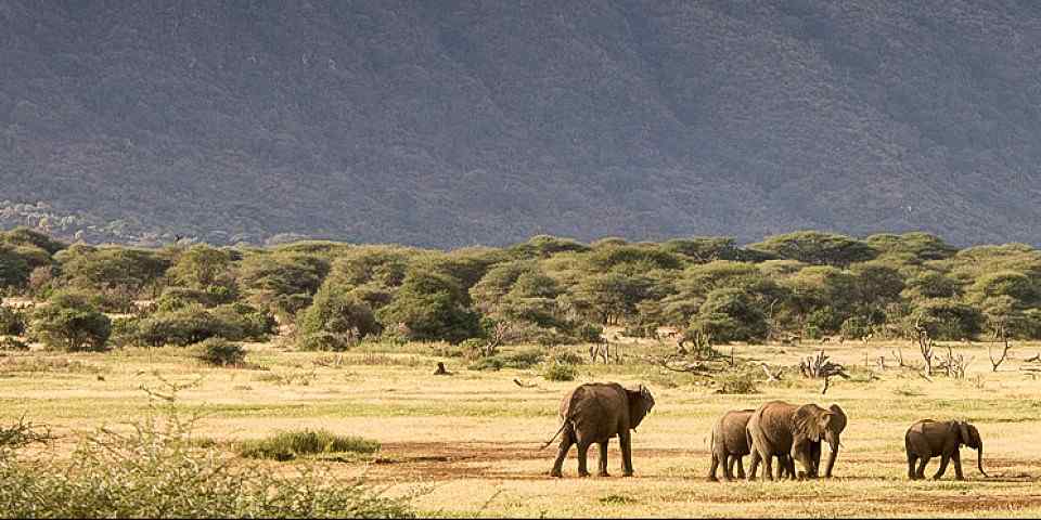 4-Day Unforgettable Luxury Safari