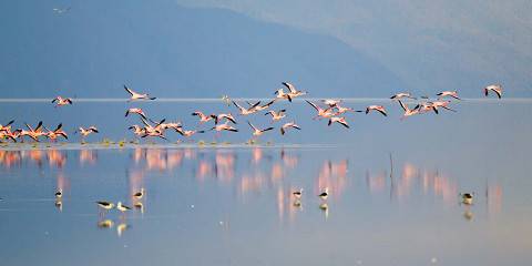 2-Day Marvelous Midrange Safar to Tarangire & Ngorongoro