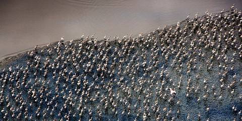 Off the Beaten Path - Lake Natron Adventure