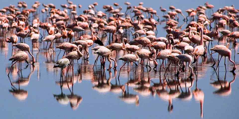 7-Day Fantastic Family Vacation in Tanzania