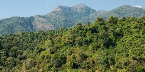6-Day Mahale Chimpanzee Tracking & Nkungwe Summit Hike