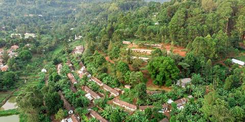 1-Day Materuni Waterfalls, Cofee Enjoyment