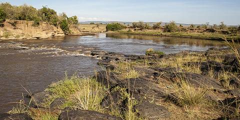 Taste of Masai Mara in a Mini Van