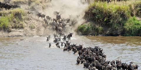 4-Day The Great Migration -Midrange Safari