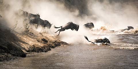 4-Day Grand Tour- Great Migrations River Crossing