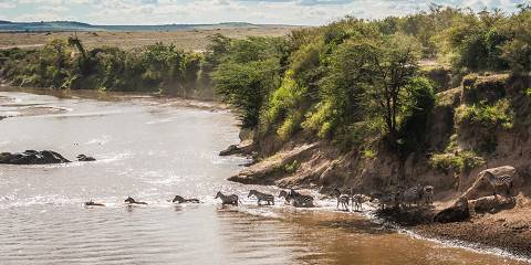 7-Day Comfort River Crossing Serengeti Migration