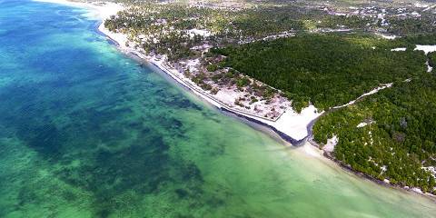 1-Day Fly-in (Beach-Bush) Safari from Zanzibar to Mikumi