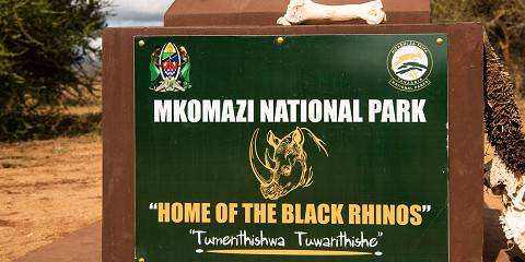 1-Day Mkomazi National Park Itinerary