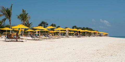 7-Day Family Package in Zanzibar