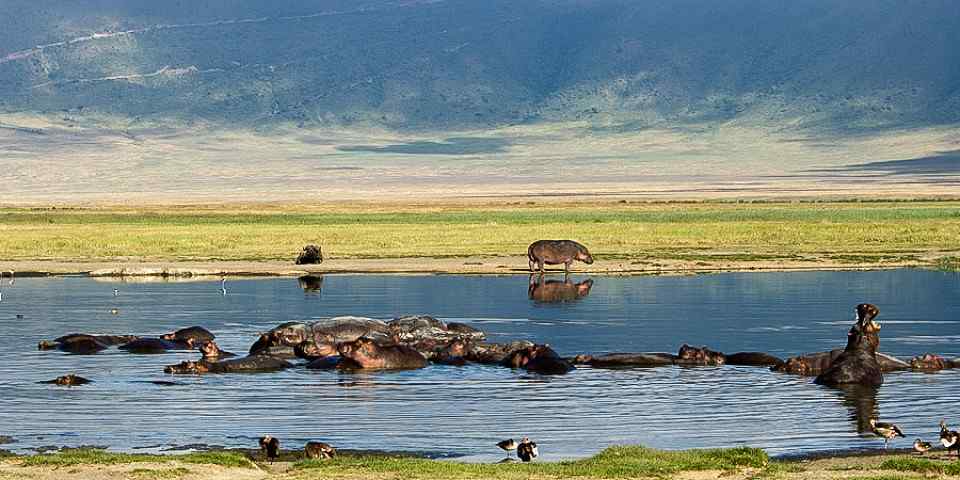 4-Day Tarangire-Serengeti-and-Ngorongoro