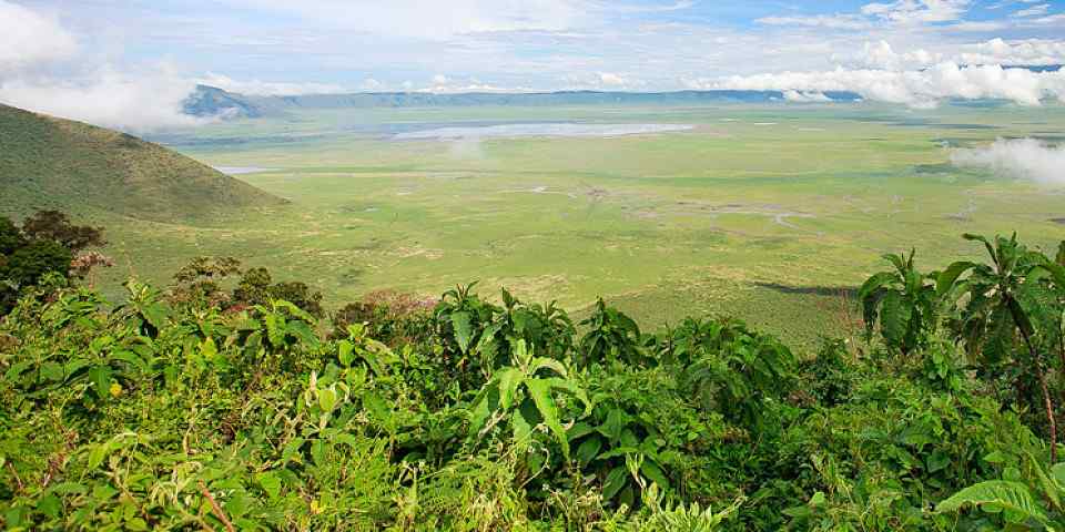 12-Day Northern Tanzania Safari and Zanzibar