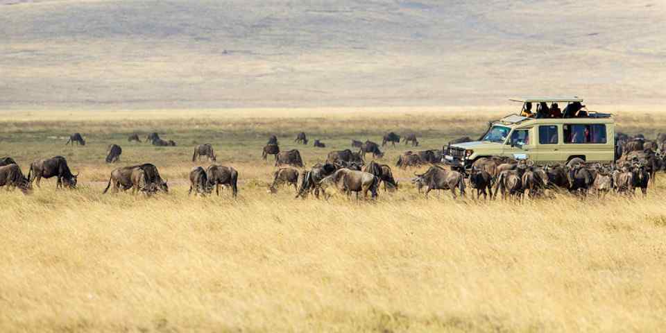 3-Day Affordable Safari - Manyara, Ngorongoro, Tarangire