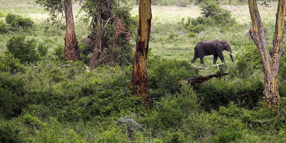 2-Day Luxury Adventure to Tarangire & Ngorongoro Crater