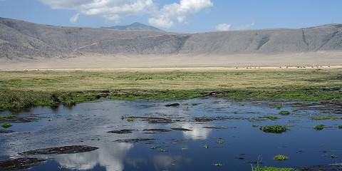 3-Day Safari Exploring Northern Circuit Game Parks