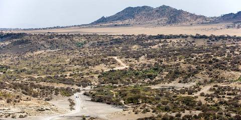 7-Day Ngorongoro, Serengeti & Lake Natron Safari