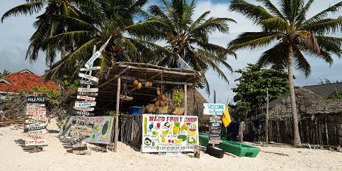 1-Day Chemka, Napuru and Coffee Tour