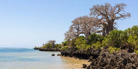 6-Day Tarangire, Serengeti, Ngorongoro Mid-Range Tour