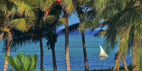 12-Day Mid-Range Northern Tanzania Safari & Beach Holiday