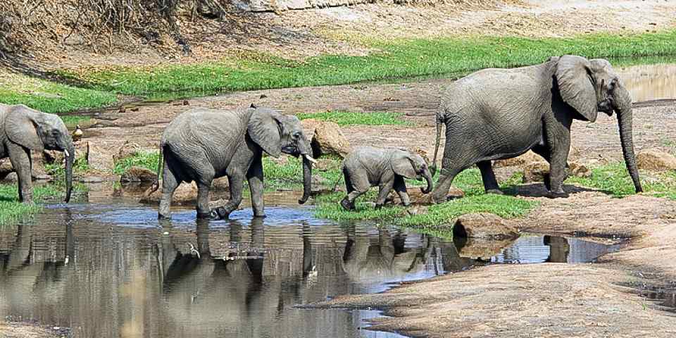 6-Day Student Safari in Tanzania