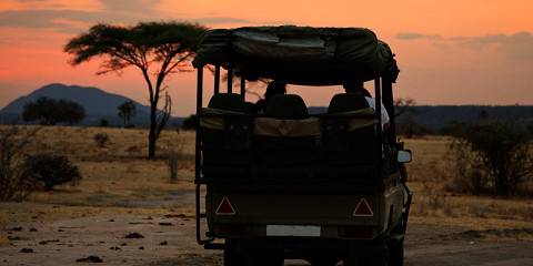 Unforgettable Safari to Iconic National Parks