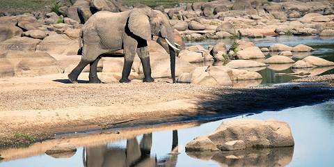 3-Day Group Safari the Serengeti & Ngorongoro Crater