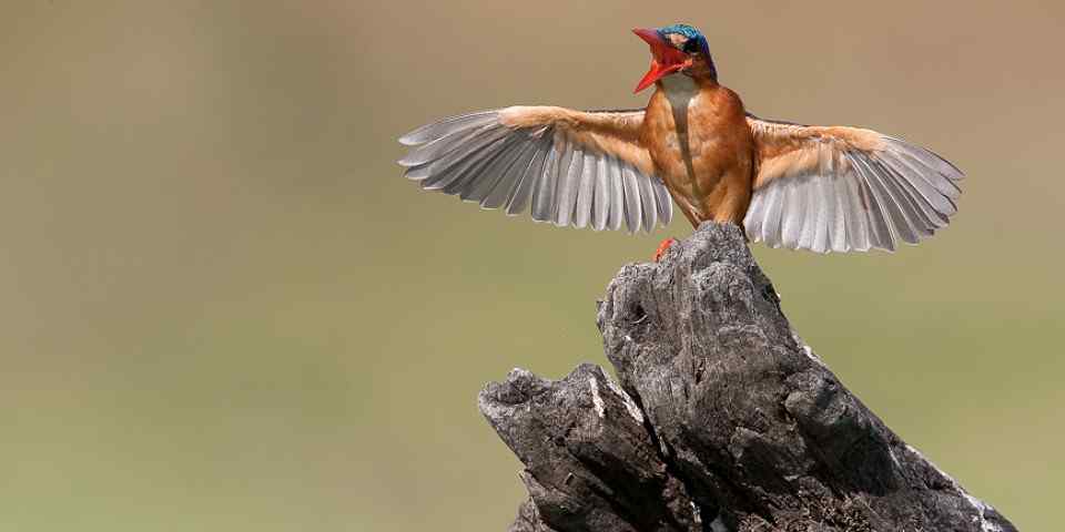 3-Day Serengeti to Ngorongoro Crater Tour