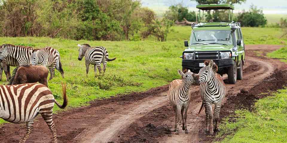 5-Day Luxury Tour, Manyara, Serengeti & Ngorongoro
