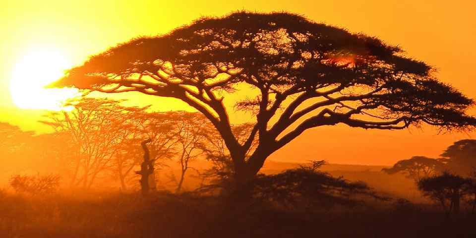 4-Day Tarangire, Serengeti & Ngorongoro (Tented) Lodge
