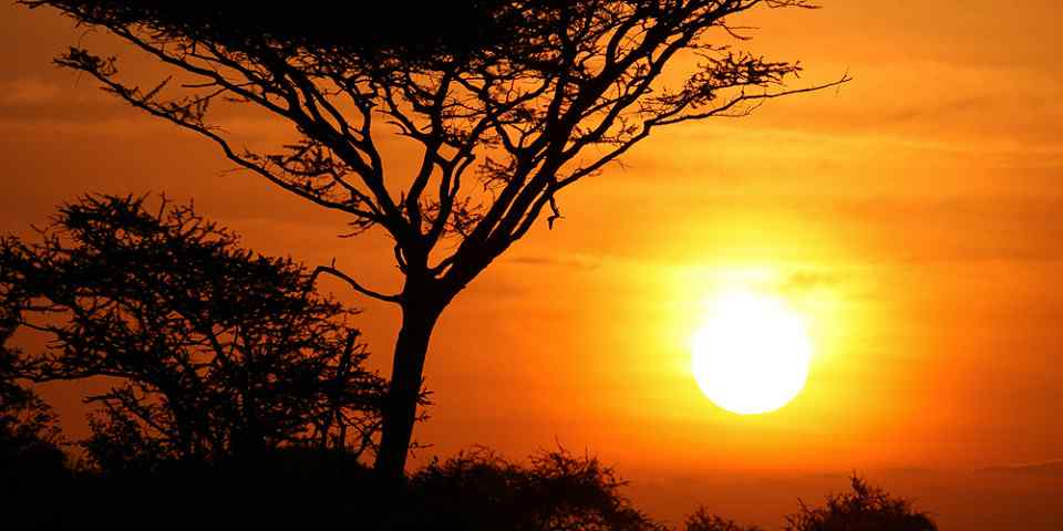 5-Day Tanzania Safari Tour Experience