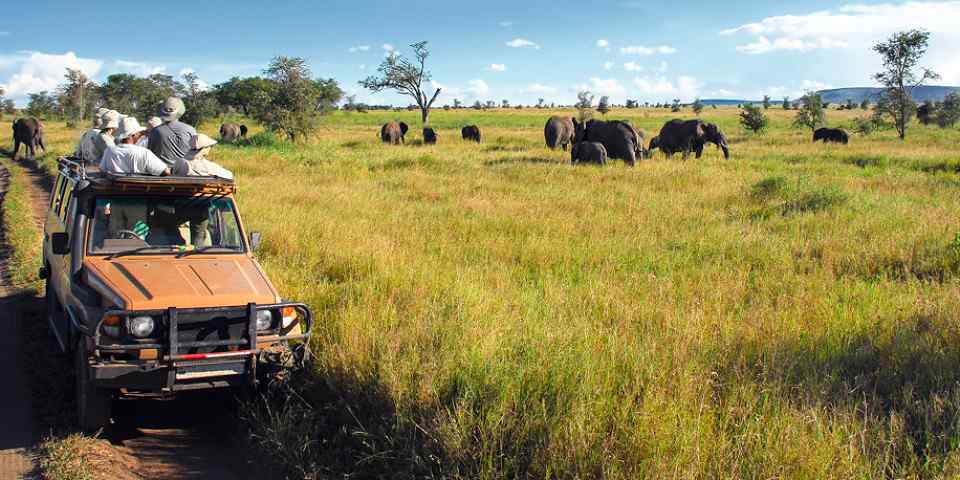 3-Day Z'Bar to Selous Boat Fishing, Game Drive by Flight