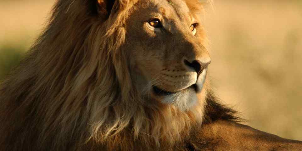 2-Day Zanzibar to Tarangire, Cycling & Masai Boma