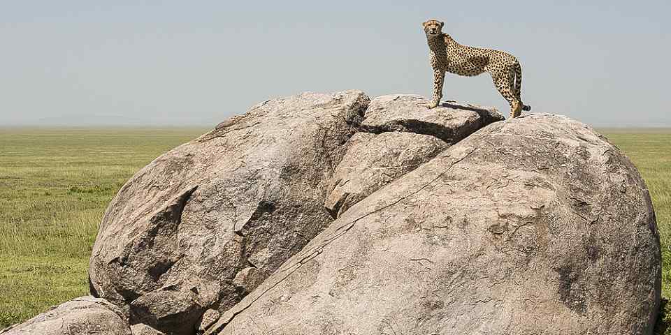 5-Day Serengeti & Ngorongoro Safari (Budget)