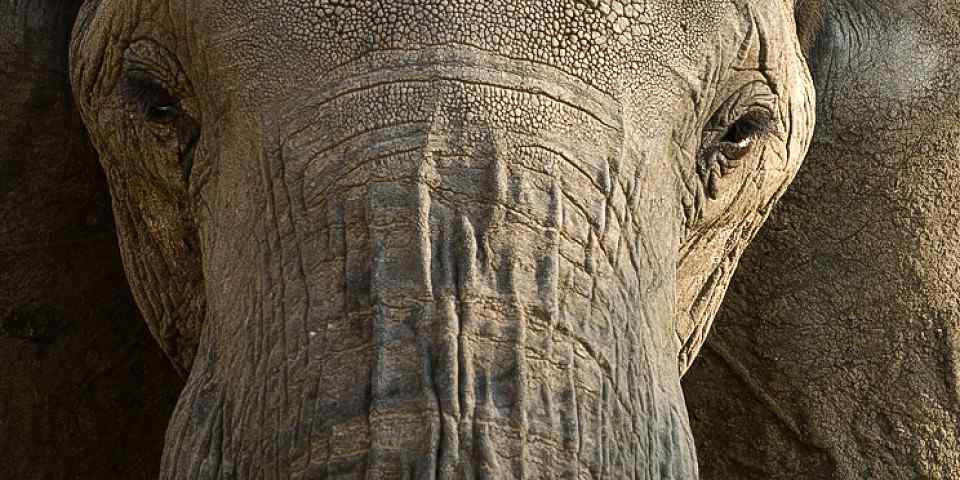 8-Day Soul of Tanzania Itinerary - Luxury